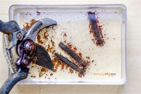 soaking rusty tools in vinegar